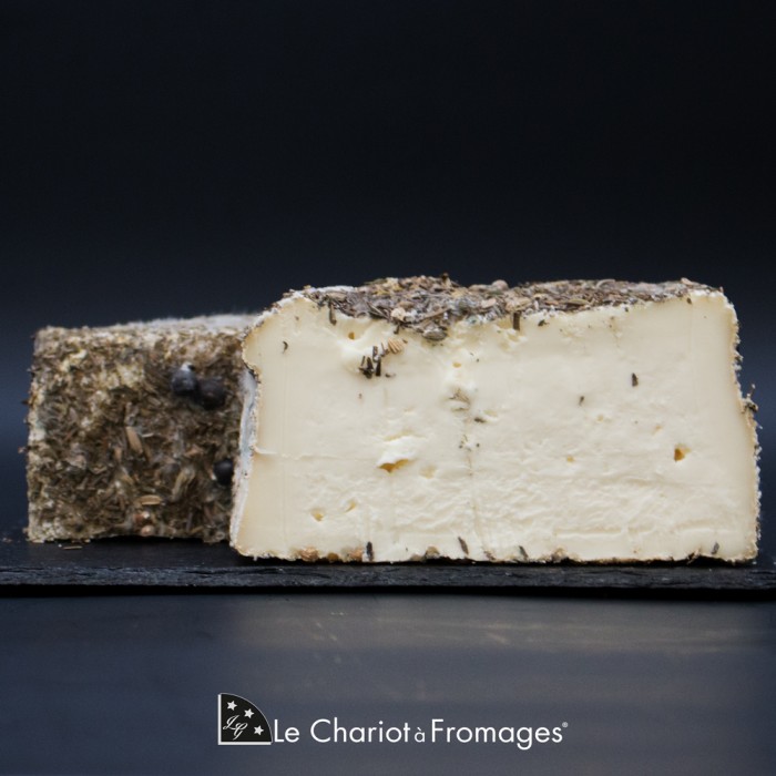 Brin d'Amour, brebis lait cru corse